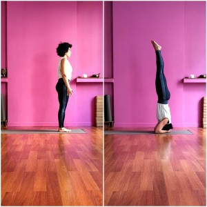 Vitality Levallois - Yoga et bien-être à Levallois